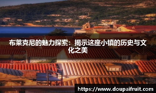 布莱克尼的魅力探索：揭示这座小镇的历史与文化之美